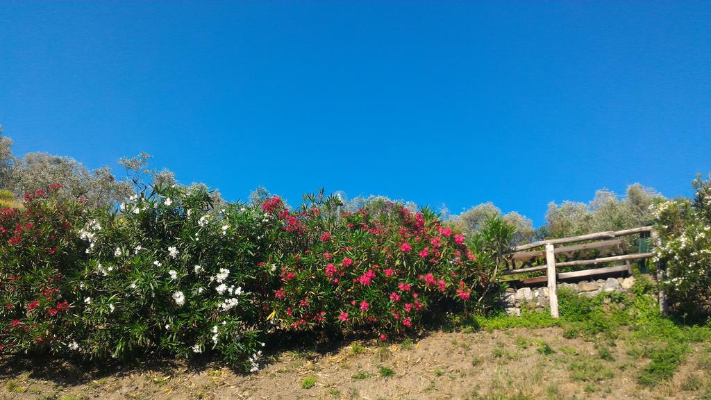 Agriturismo La Quiete Levanto Dış mekan fotoğraf